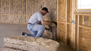 Best Batt and Roll Insulation  in Red Bank, NJ